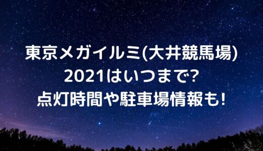 東京メガイルミ(大井競馬場)2021はいつまで?点灯時間や駐車場情報も!